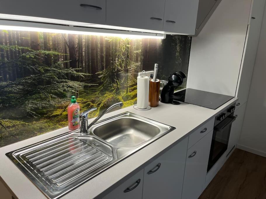 Gemuetliches 4Er Apartment In Skilift-Naehe 滨湖采尔 外观 照片
